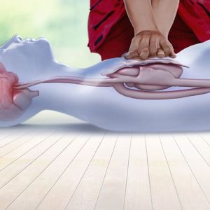 Basic Life Support (BLS) for Healthcare Providers : Blended format