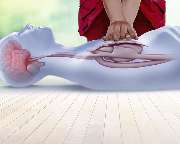 Basic Life Support (BLS) for Healthcare Providers : Blended format